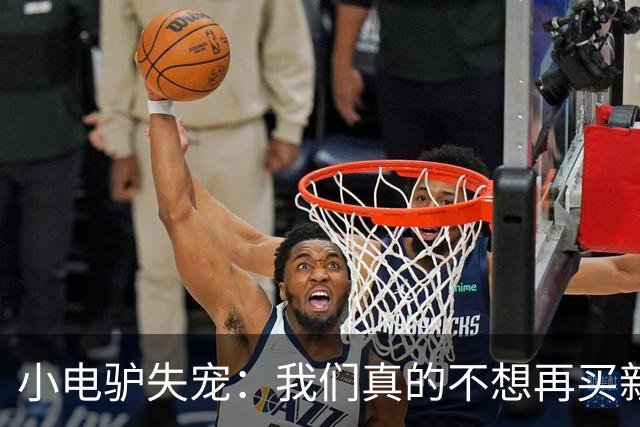 小电驴失宠：我们真的不想再买新车了